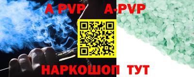 амф Кингисепп