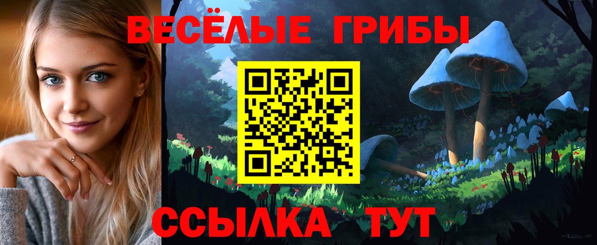 Кизляр  Псилоцибиновые грибы Psilocybine cubensis  Вход с VPN 